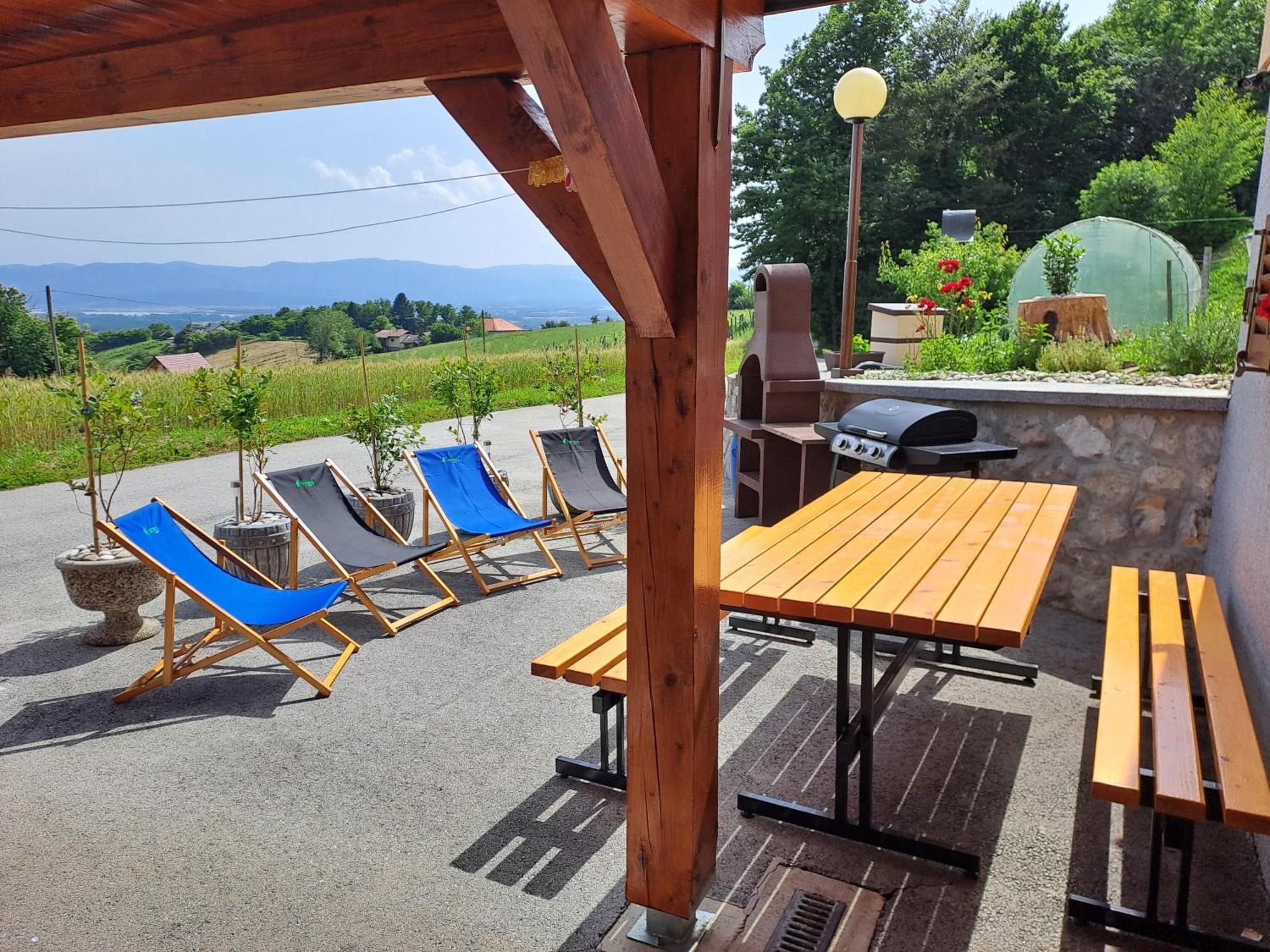 Apartments Jernej With Onsite Wellness Brežice Esterno foto
